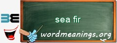 WordMeaning blackboard for sea fir